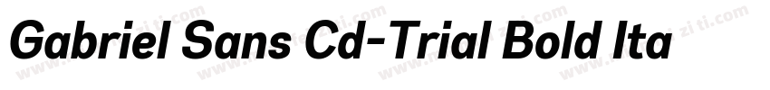 Gabriel Sans Cd-Trial Bold Italic字体转换